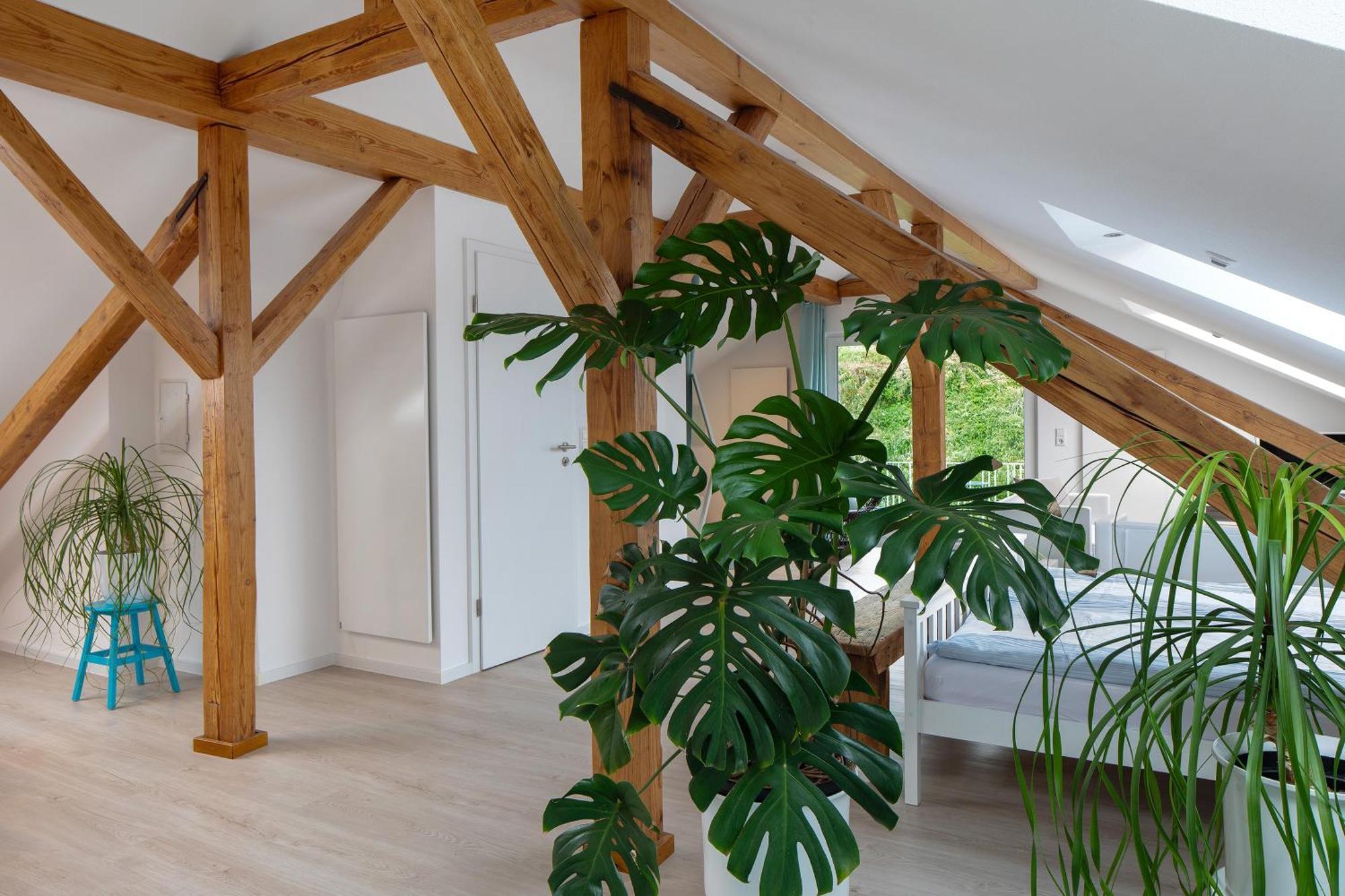 Ferienhaus Engelsberghof 恩丁根 外观 照片